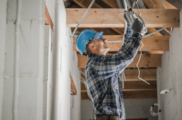 Best Electrician for Home Renovation  in Grayslake, IL